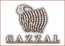 Пряжа Gazzal